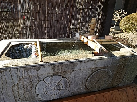 25-02-22-15-04-03-448_photo