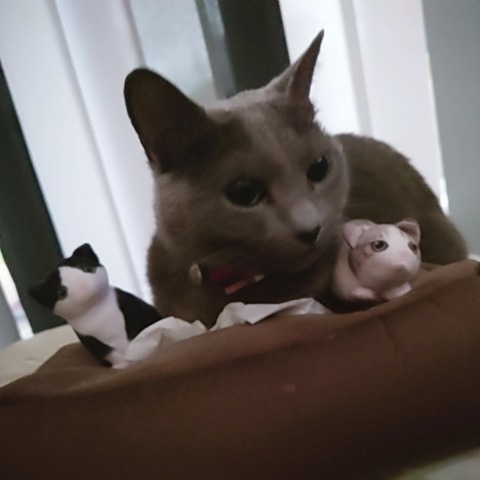 24-10-23-07-42-54-179_deco