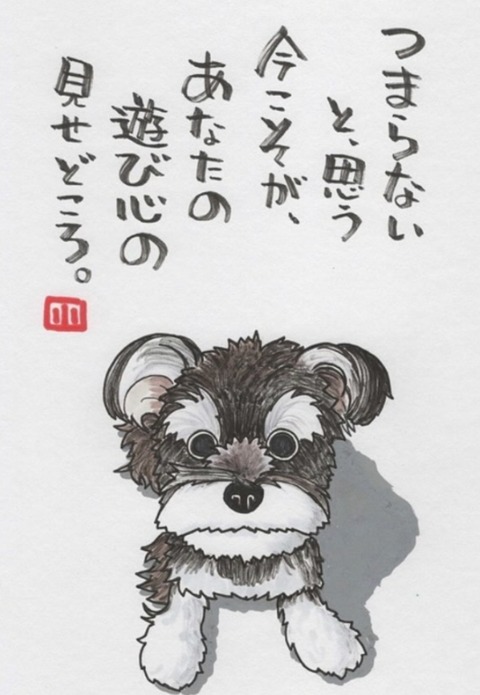 24-06-24-09-03-51-710_deco