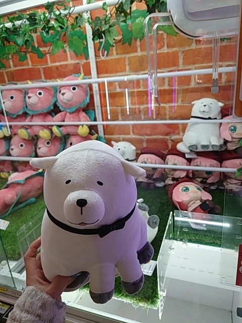 24-01-17-21-58-49-473_photo