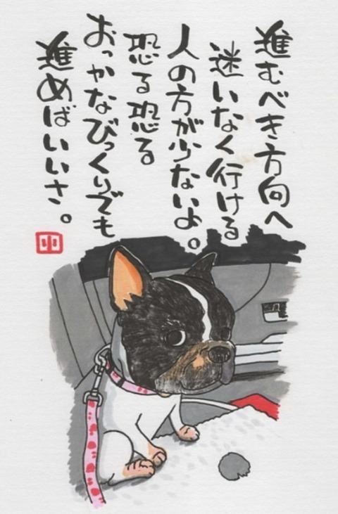 25-03-26-02-41-11-544_deco