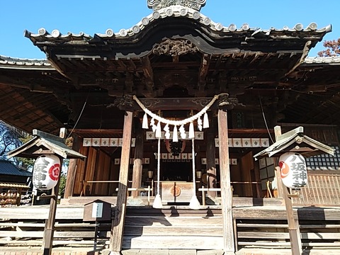 25-02-22-15-14-19-847_photo