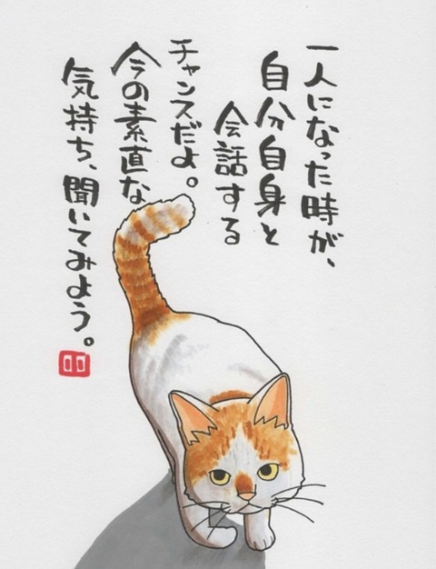 24-10-10-02-12-03-583_deco