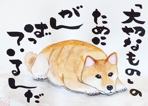 24-03-31-22-38-10-054_deco