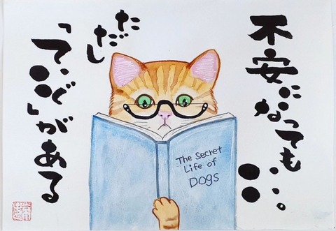 24-09-26-22-54-19-985_deco