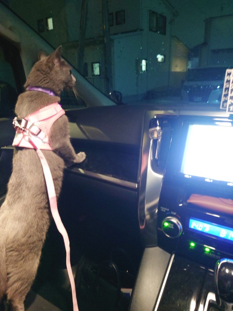 SNOW_20250522_200409_611