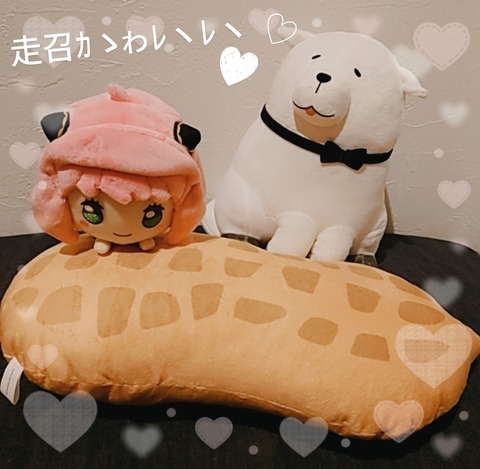 24-01-18-01-35-28-252_deco