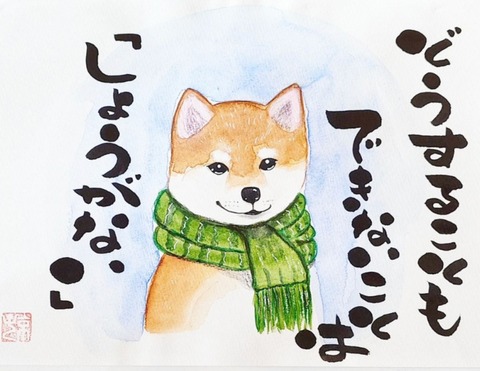 24-11-20-08-48-47-535_deco