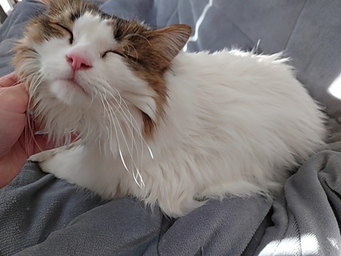 24-11-12-10-05-47-859_photo