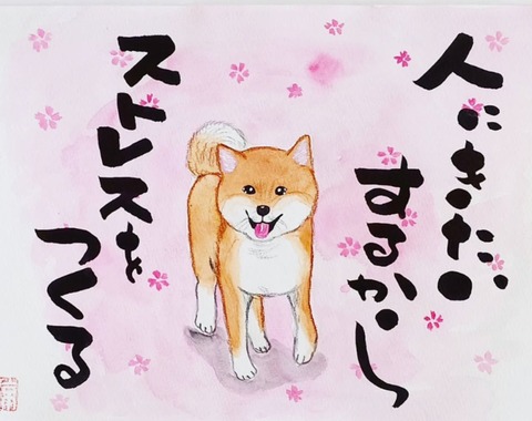 25-03-21-04-37-12-440_deco