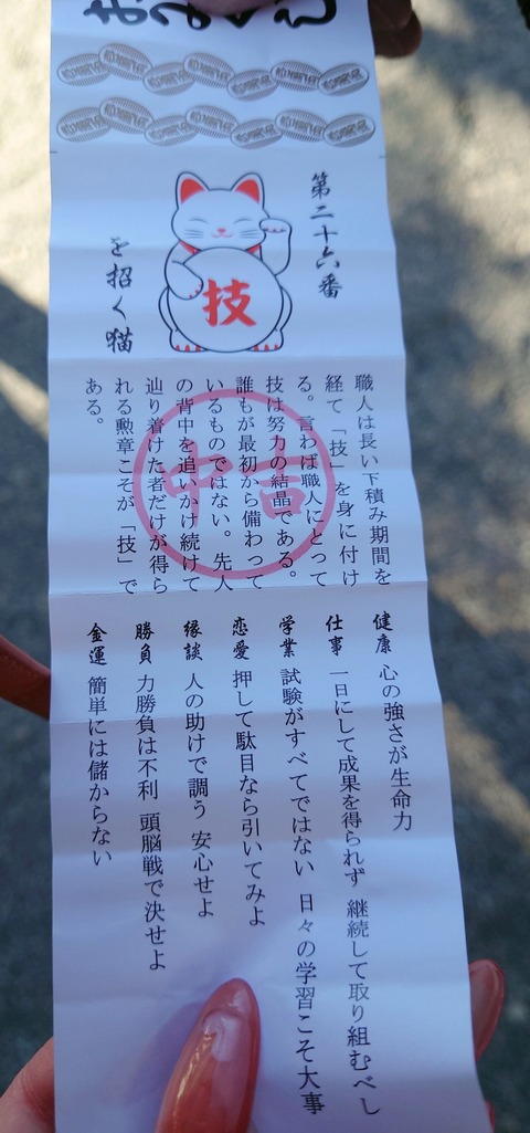 SNOW_20250222_152225_181