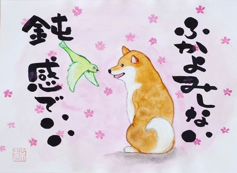 24-03-17-10-55-11-433_deco