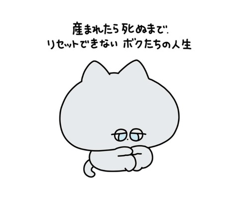 25-02-12-03-25-12-074_deco