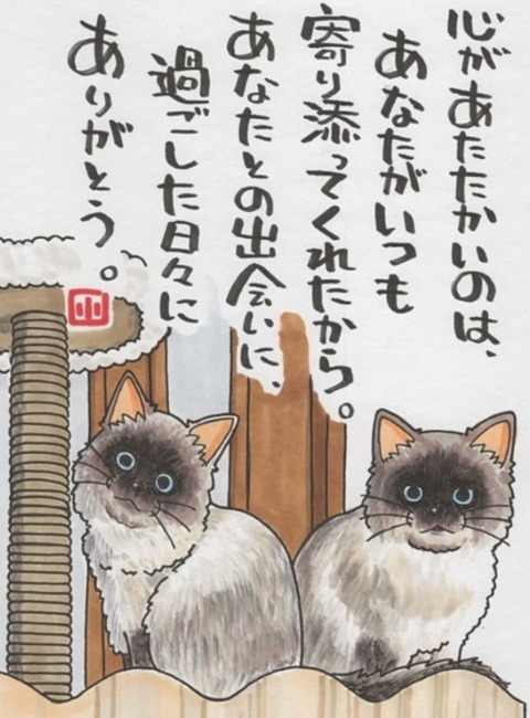 24-03-20-02-43-55-390_deco