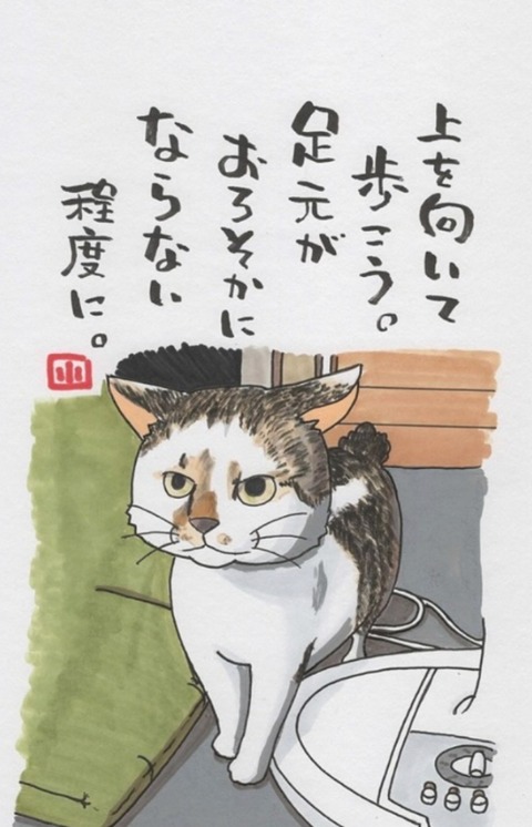 24-05-05-01-00-43-540_deco