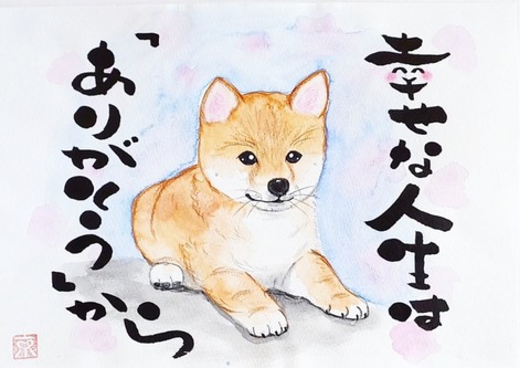 24-12-22-22-57-21-595_deco