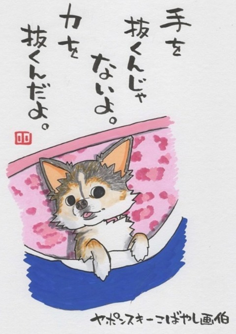 24-01-19-19-49-12-468_deco