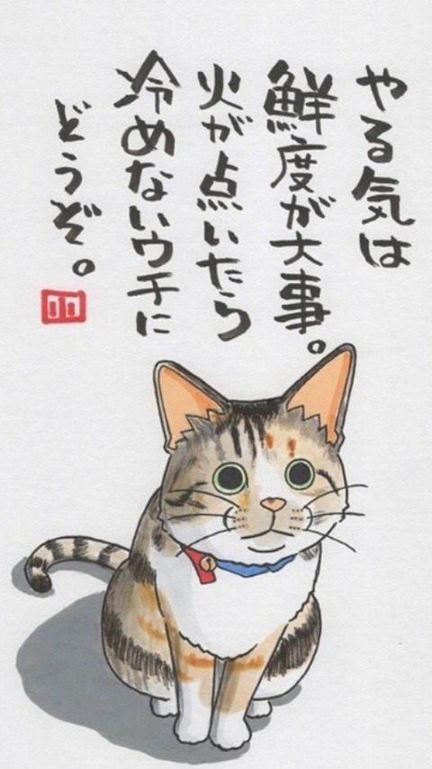 24-03-13-22-10-06-501_deco