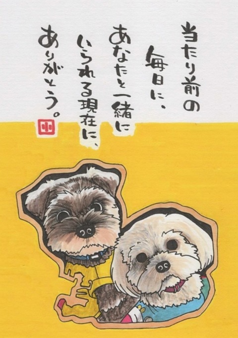 24-10-11-13-32-52-794_deco