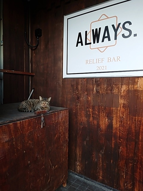 24-01-19-16-52-23-642_photo