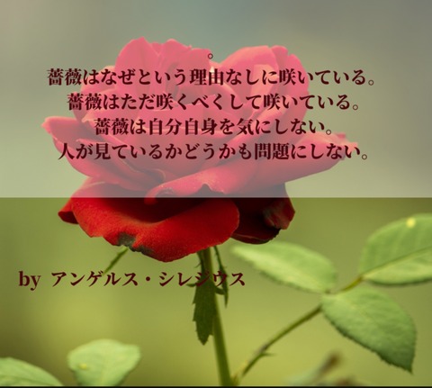 25-04-25-02-08-19-017_deco