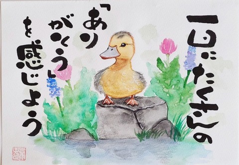 24-08-21-01-44-14-285_deco