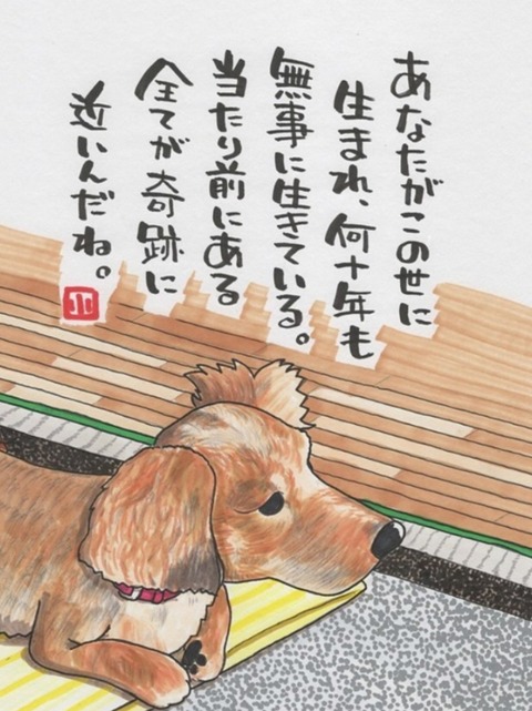 24-05-01-15-59-34-787_deco