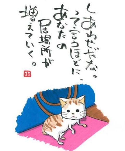 25-02-12-04-20-07-360_deco