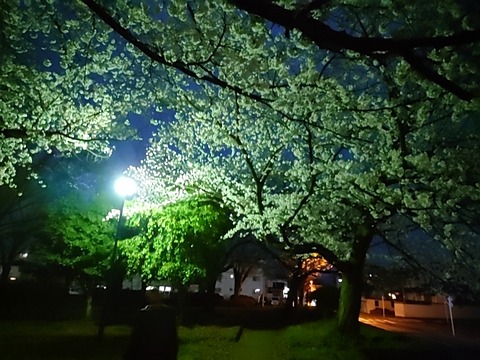 24-04-06-18-37-36-162_photo