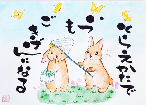 25-02-14-04-38-13-590_deco