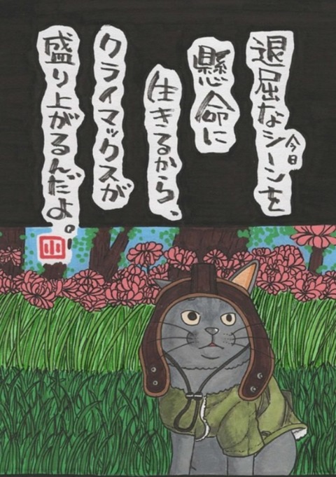 25-03-05-02-15-32-756_deco