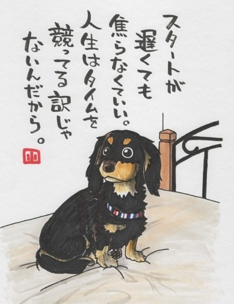 24-08-22-19-48-43-477_deco