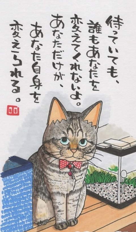 24-10-15-22-30-22-599_deco