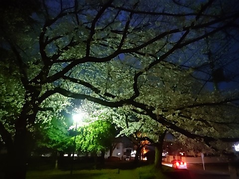 24-04-06-18-37-44-840_photo