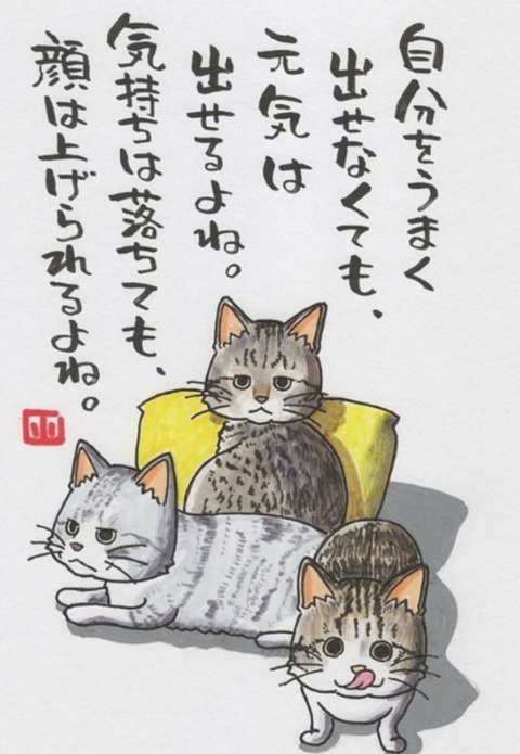 24-06-29-09-22-09-227_deco