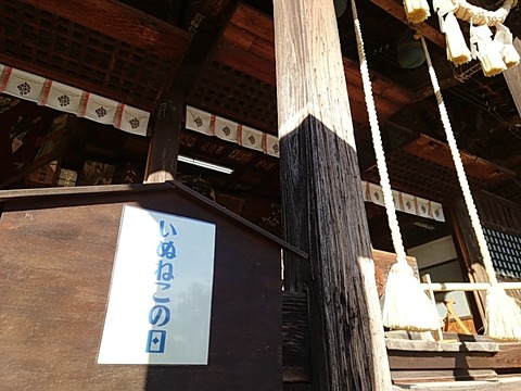 25-02-22-15-13-34-410_photo