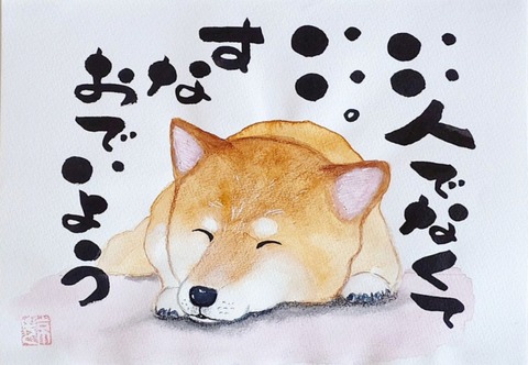 24-05-07-21-18-28-516_deco