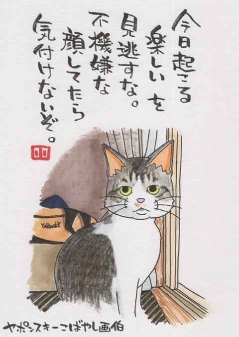 25-01-15-03-10-23-197_deco