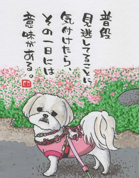 24-06-14-20-33-31-495_deco