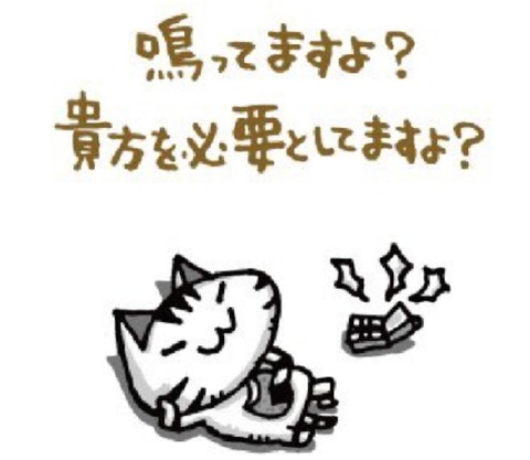 24-03-06-02-17-14-995_deco