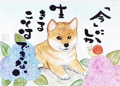 Screenshot_20250528-085326