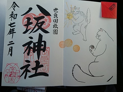 25-02-22-15-45-54-973_photo