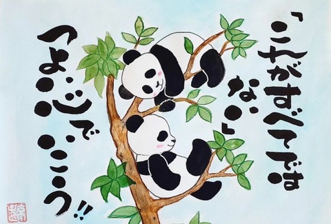 24-02-17-12-39-15-882_deco