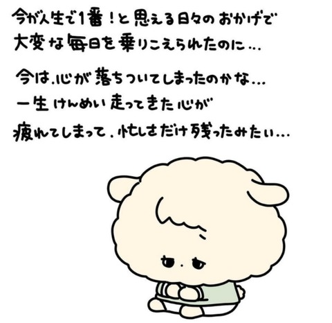 24-02-04-23-16-00-339_deco