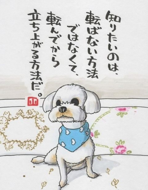 24-05-11-15-04-38-846_deco