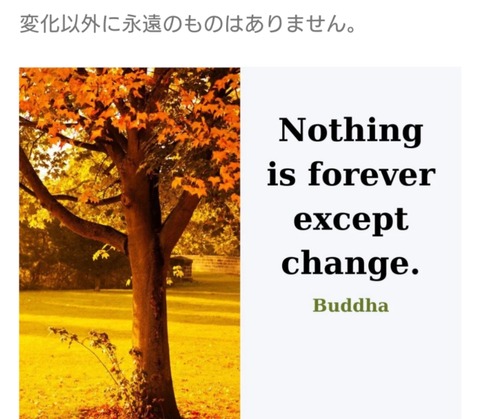 24-09-25-07-11-05-006_deco