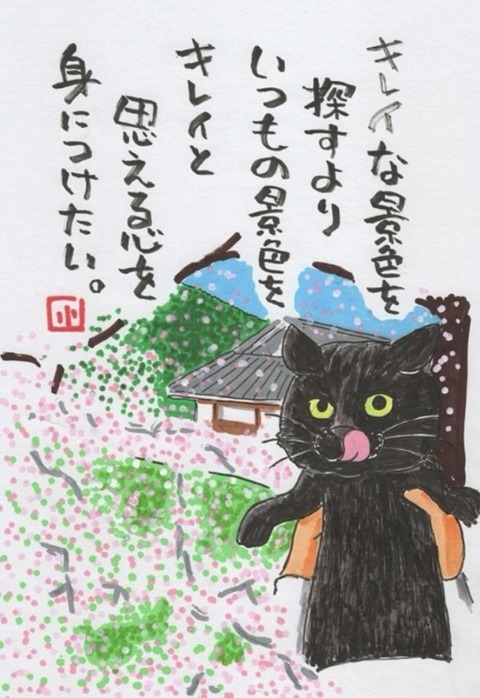 25-04-28-01-16-07-411_deco