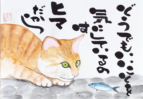 24-12-22-23-01-26-436_deco