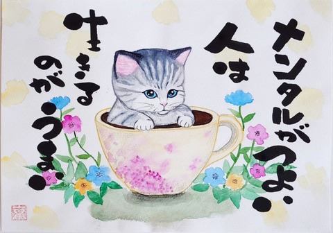 24-05-01-11-34-13-236_deco