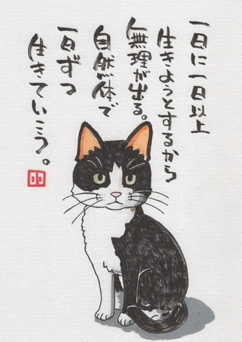 25-04-25-02-53-03-820_deco